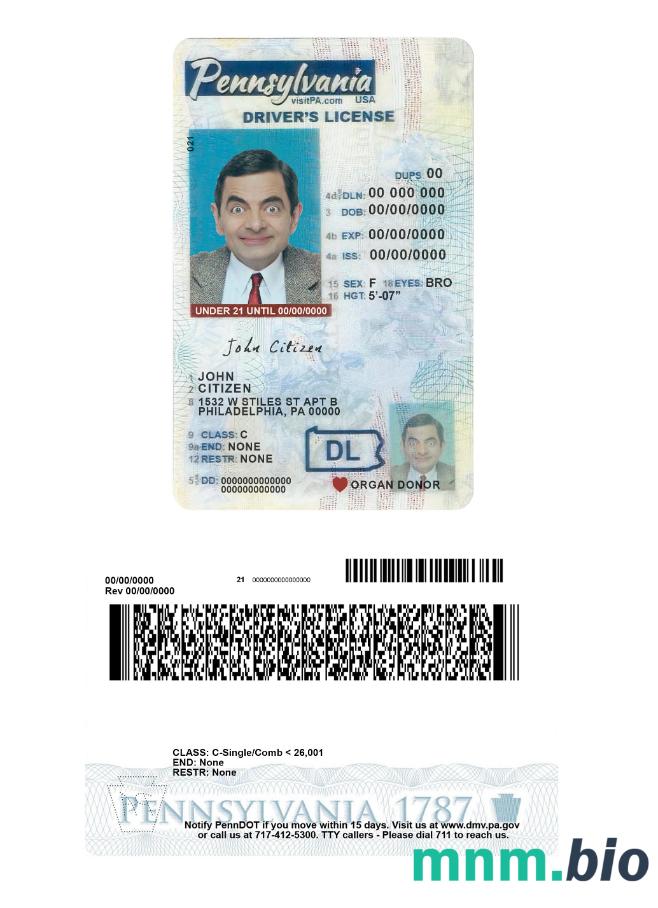 Prawo jazdy USA Pennsylvania under 21 w formacie PSD